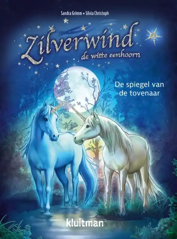 De spiegel van de tovenaar Bestel Nu
