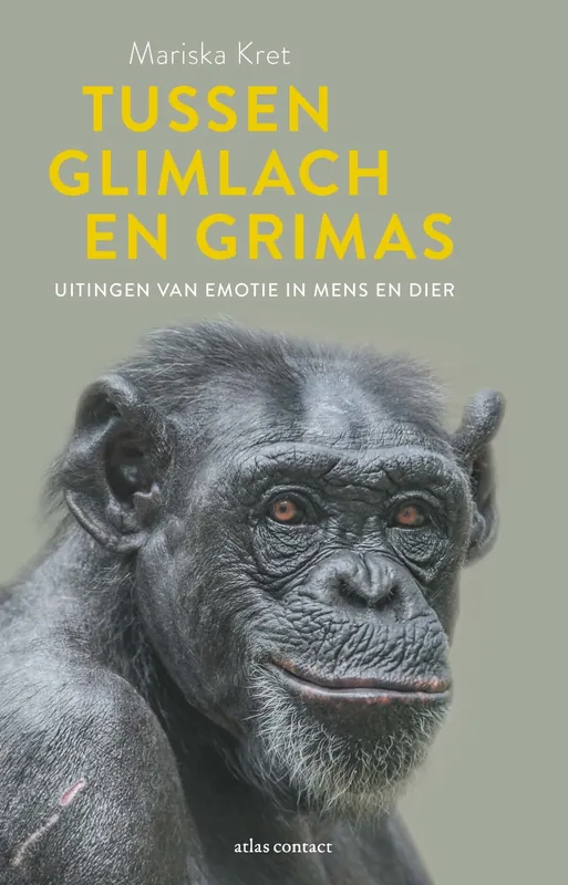 Koop Online Tussen glimlach en grimas