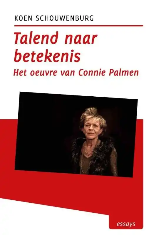 Tzum-reeks 9 - Talend naar betekenis Direct Verzonden