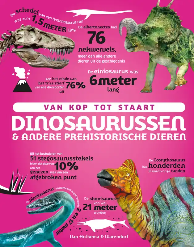 Van kop tot staart Veilige Betaling