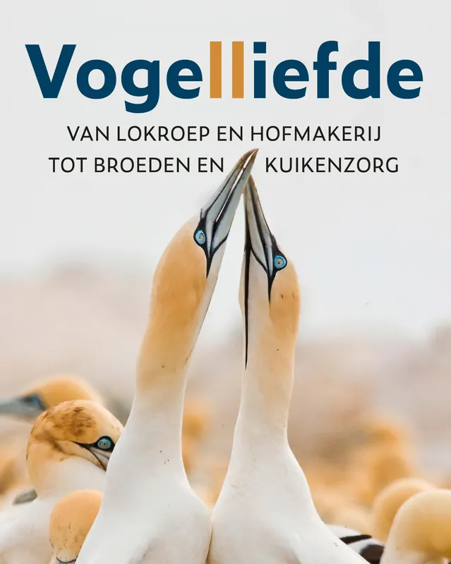 Vogelliefde Gereduceerde Prijs