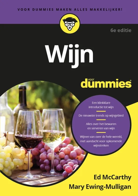 Direct Beschikbaar Voor Dummies
