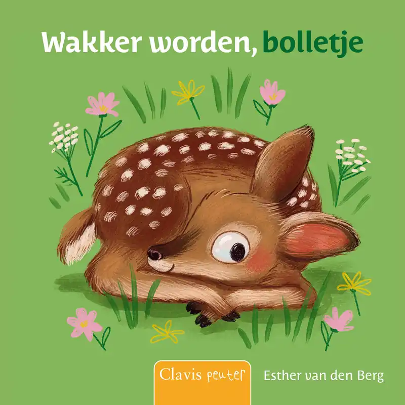 Lage Kosten Wakker worden, bolletje