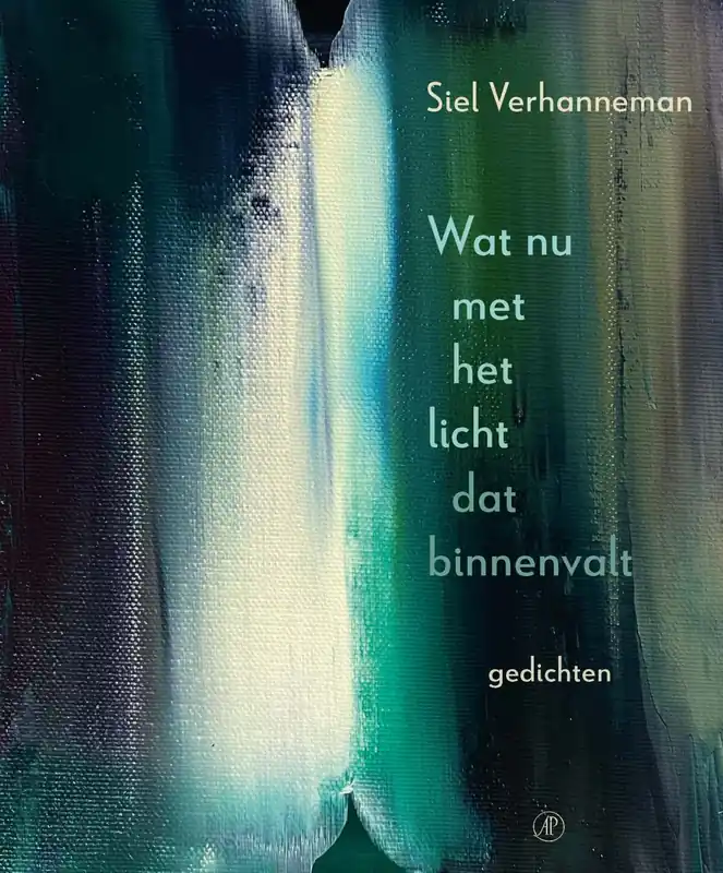 Wat nu met het licht dat binnenvalt Beperkte Voorraad