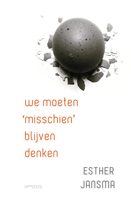 Snelle Levering We moeten 'misschien' blijven denken