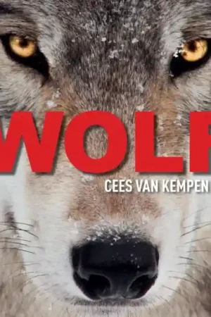 Wolf Weekendaanbieding
