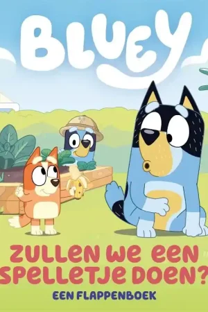 Zullen we een spelletje doen? Betaalbaar
