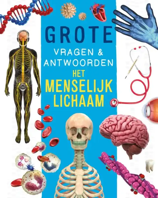 Het menselijk lichaam Goedkoop