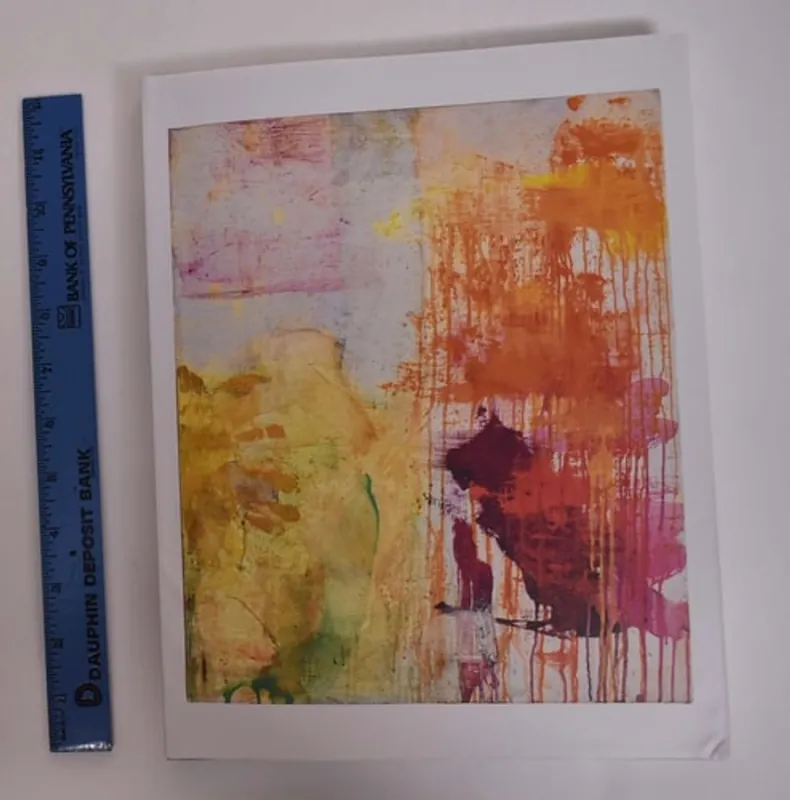 Hoge Kwaliteit Bill Jensen Transgressions - Cheim & Read