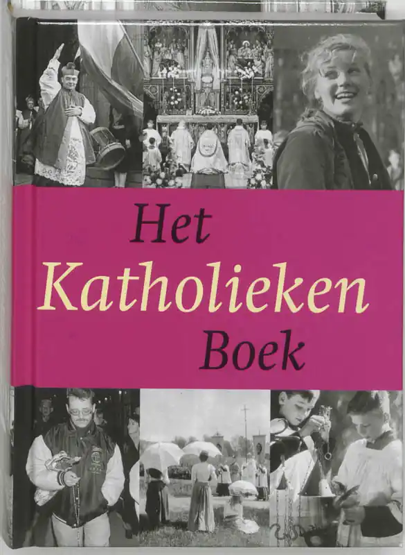 Merkproduct Het katholieken boek - H. Pijfers