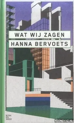 Veilige Betaling Wat wij zagen - Hannah Bervoets