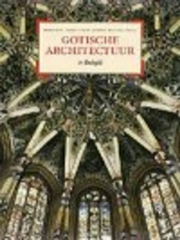Betaalbaar GOTISCHE ARCHITECTUUR IN BELGIE - Marjan Buyle