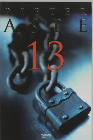 Betaalbaar 13 - Pieter Aspe