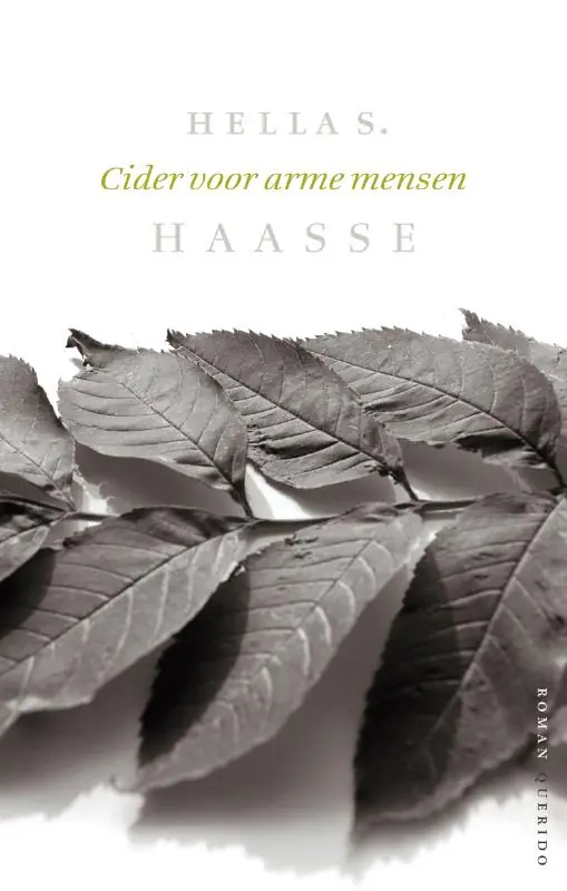Direct Verzonden Cider voor arme mensen - Hella S. Haasse