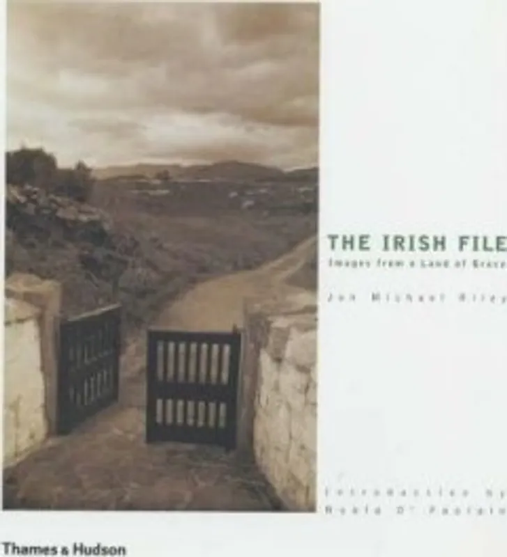 Beste Prijs IRISH FILE (Pb) - Jon Michael Riley