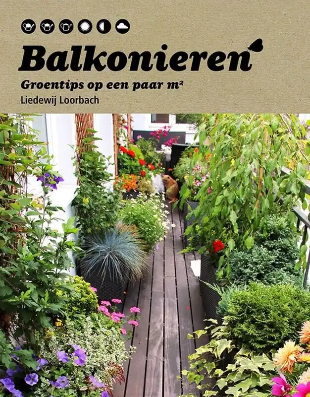 Dagaanbieding Balkonieren - Liedewij Loorbach