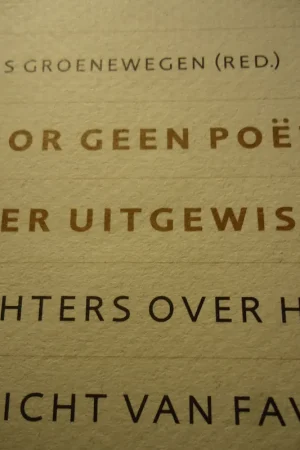 Tijdelijk Beschikbaar Door geen poezie meer uitgewist - Hans Groenewegen (red.)