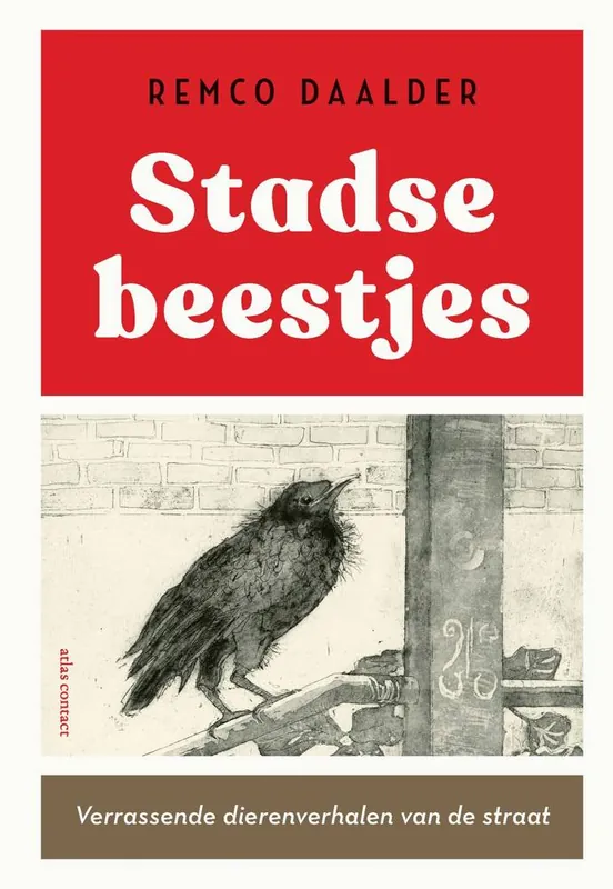 Lage Prijs Stadse beestjes / Druk 3