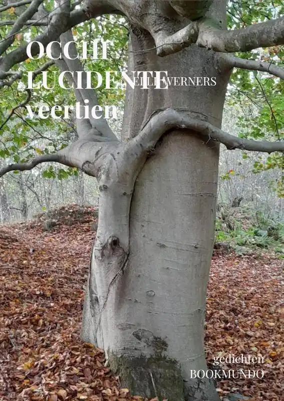 OCCHI LUCIDENTE / 1st Edition Koopje