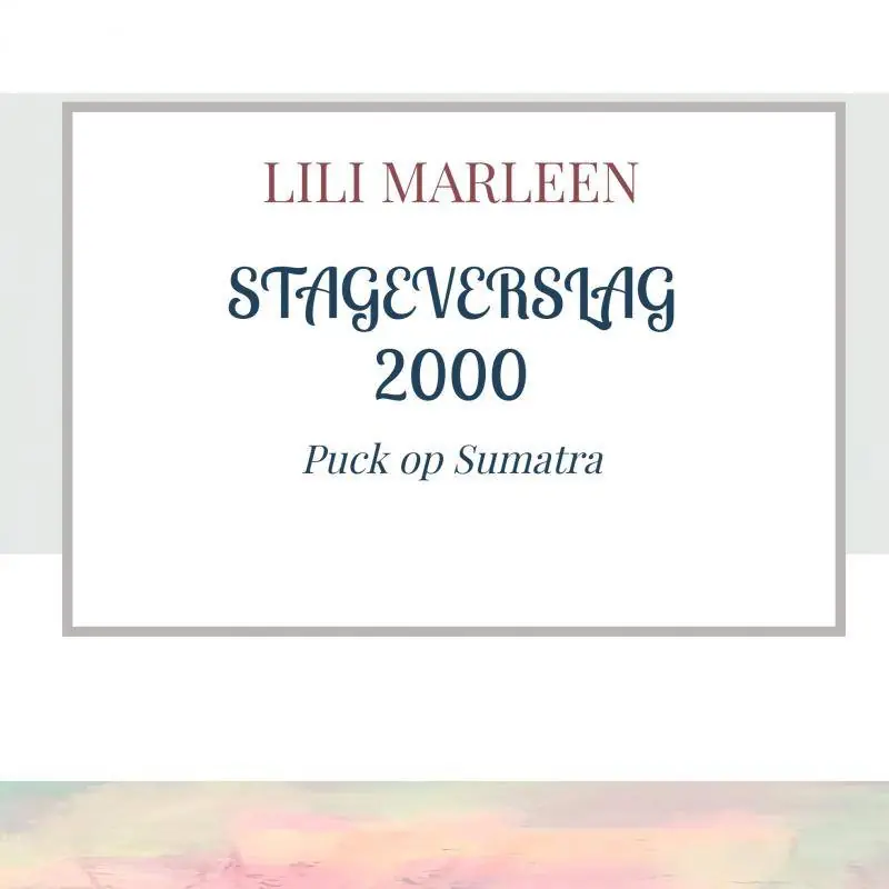 Koop Online STAGEVERSLAG 2000 / 1st Edition