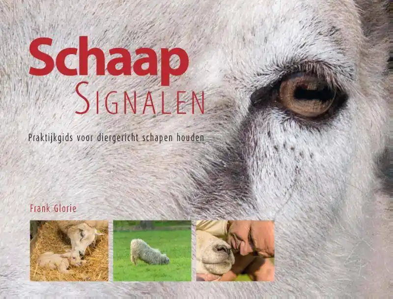 Schaapsignalen / Druk 1 Betrouwbaar