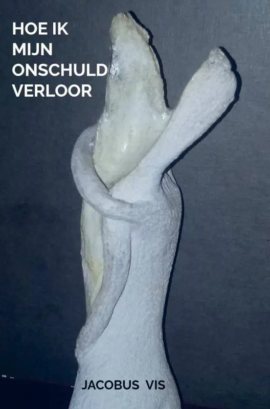 Hoe ik mijn onschuld verloor / Druk 1 Betrouwbaar
