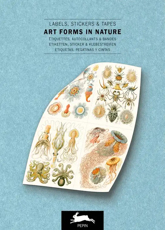 Art Forms in Nature / 1st Edition Hoge Kwaliteit