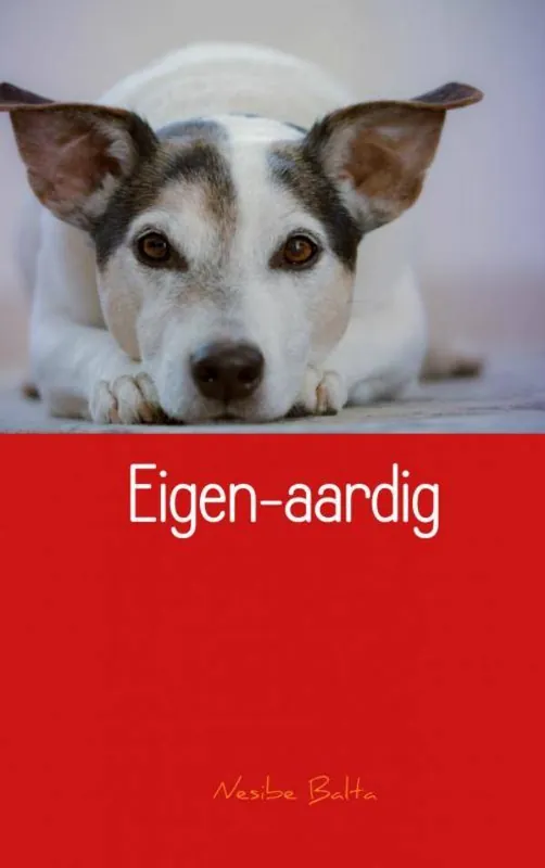 Veilige Betaling Eigen-aardig / Druk 1