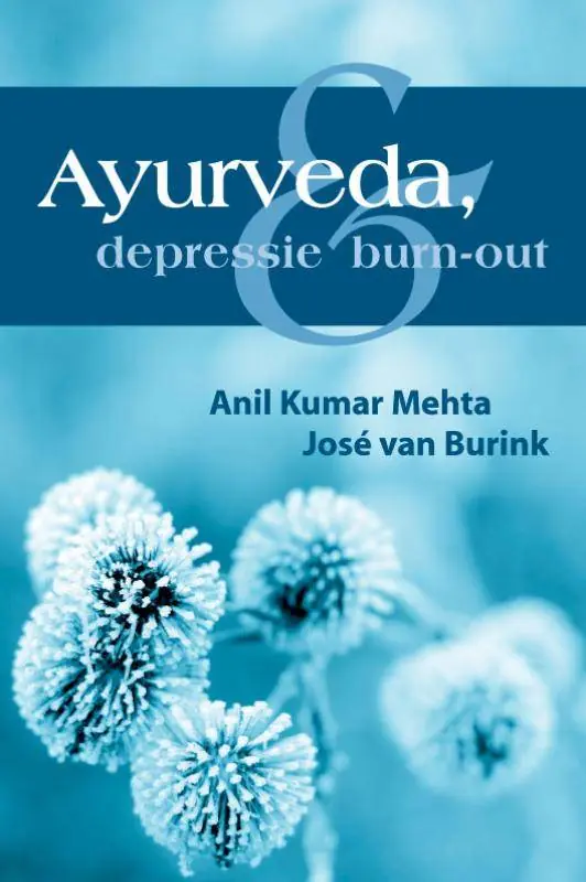 Must-Have Ayurveda, depressie en burn-out / Druk 1