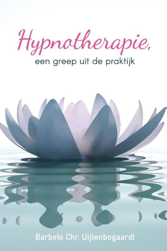 Hypnotherapie, een greep uit de praktijk / Druk 1 Rechtstreeks Van De Fabrikant
