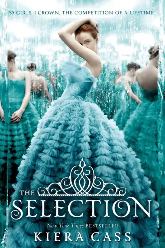 The Selection Bestseller