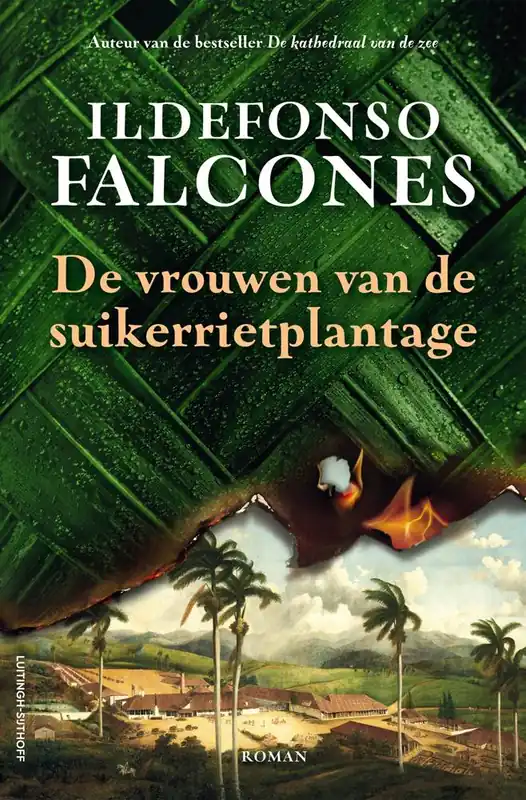 De vrouwen van de suikerrietplantage / Druk 1 Koop Online