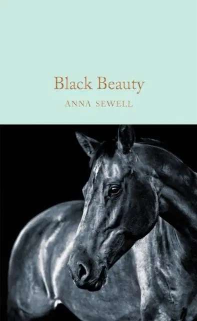 Tijdelijk Beschikbaar Black Beauty