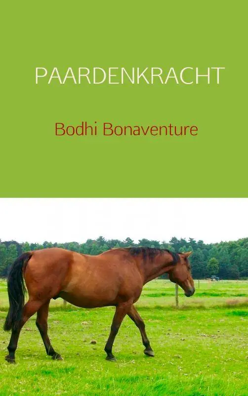 Rechtstreeks Van De Fabrikant Paardenkracht / Druk 2