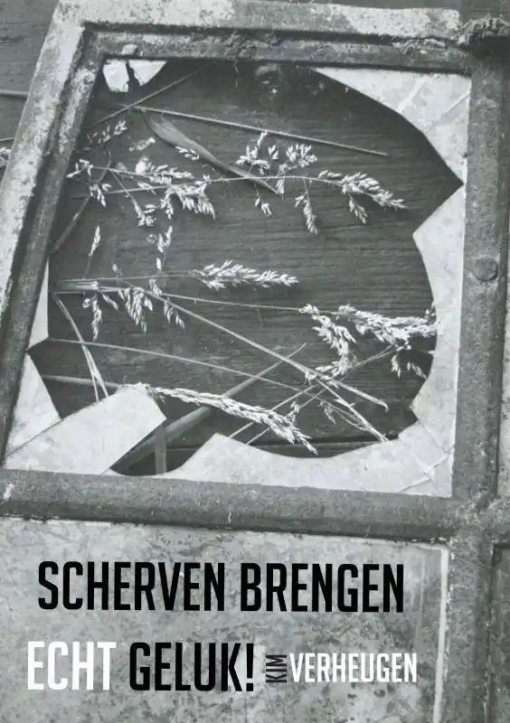 Scherven brengen echt geluk! / Druk 2 Nieuw
