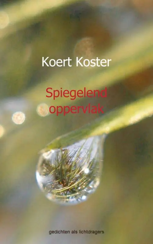 Spiegelend oppervlak / Druk 4 Op = Op