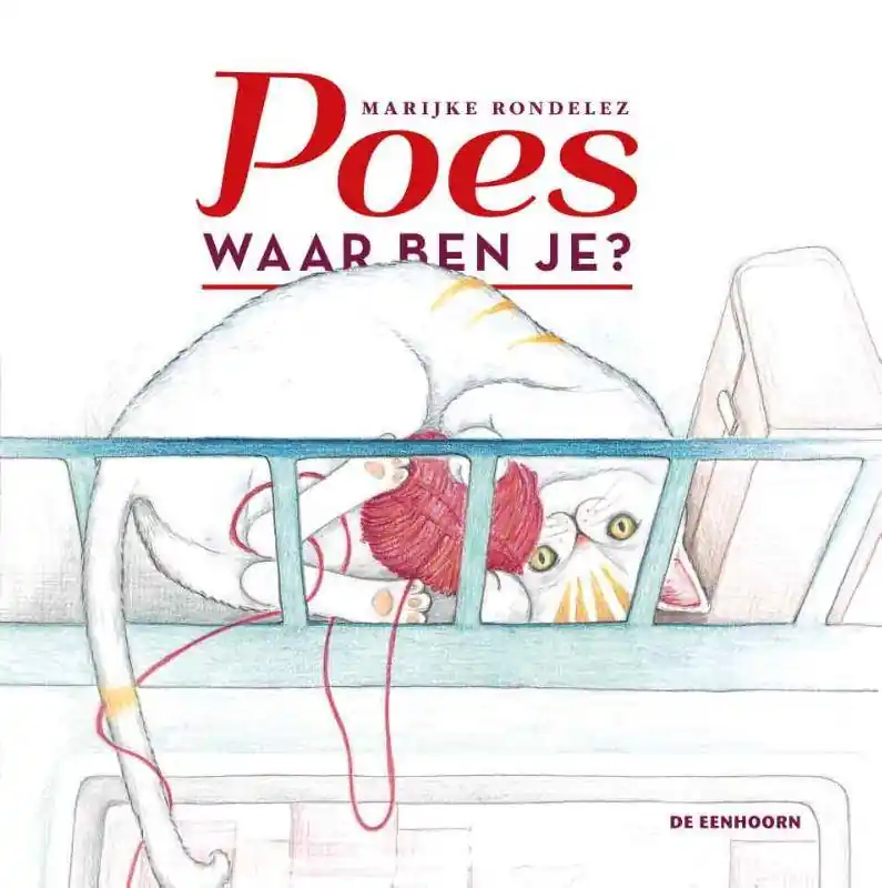 Veilige Betaling Poes, waar ben je? / Druk 1