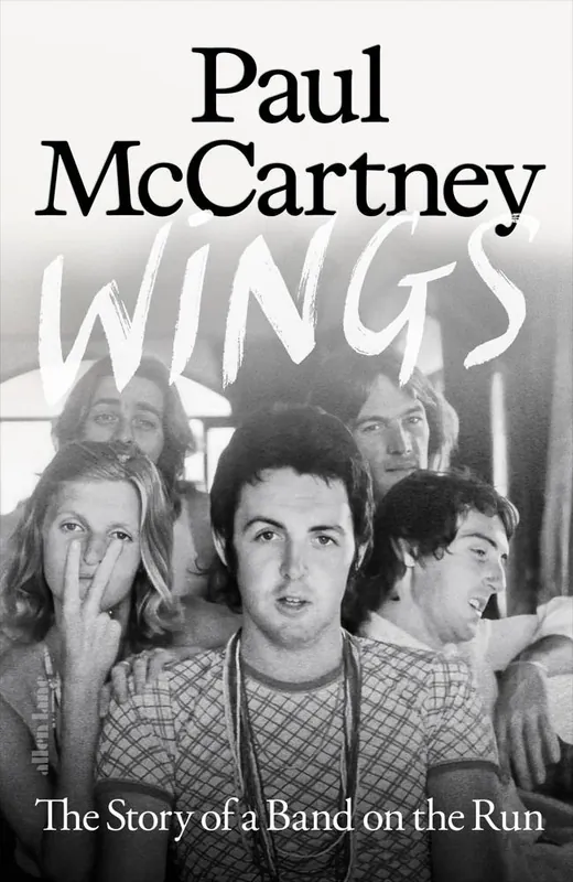 Hoge Kwaliteit Wings