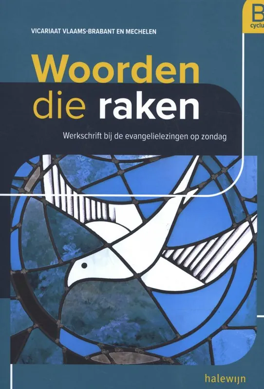 Flitsaanbieding Woorden die raken B-cyclus / Druk 1