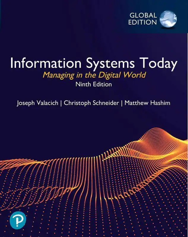 Nieuw Information Systems Today: Managing in the Digital World, Global Edition