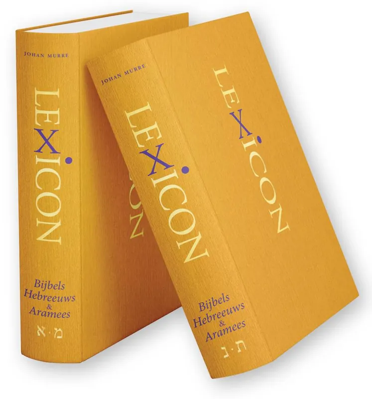 Exclusieve Aanbieding Lexicon Bijbels Hebreeuws & Aramees (2-delig) / Druk 1