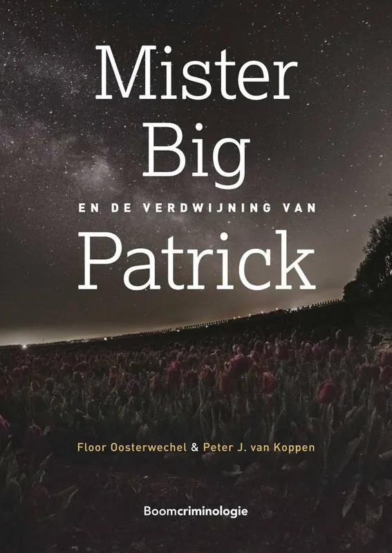 Mister Big en de verdwijning van Patrick / Druk 1 Populair