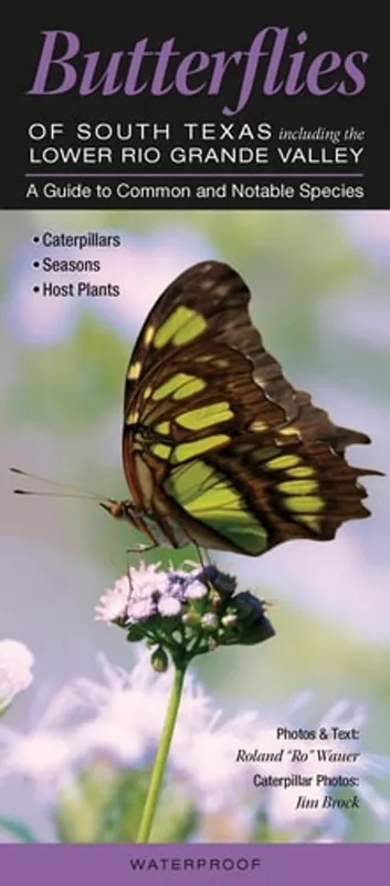 Butterflies of South Texas Including the Lower Rio Grande Valley A Guide to Common and Notable Species - Quick Reference Publishing Weekendaanbieding