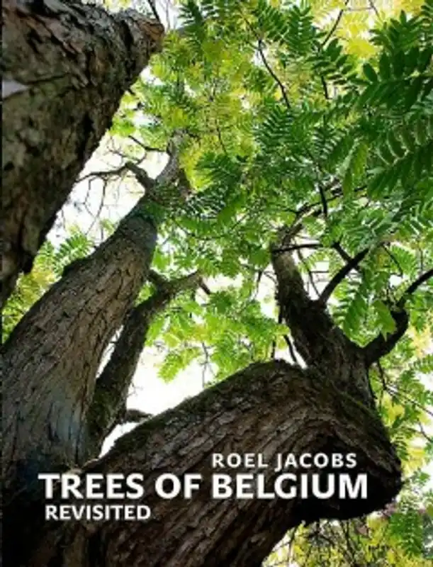 Trees of Belgium - Roel Jacobs Nieuw