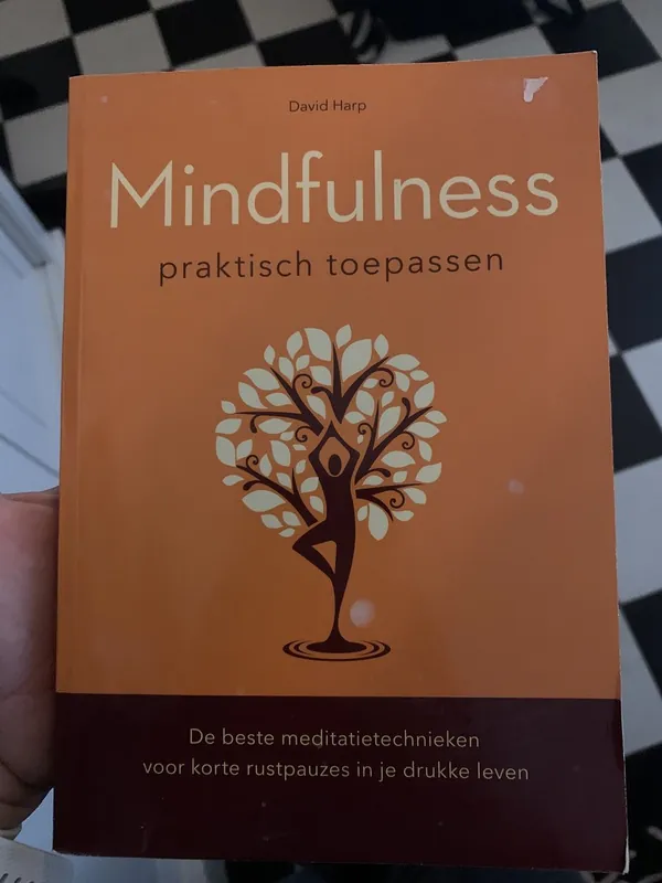 Mindfulness praktisch toepassen - David Harp Premium