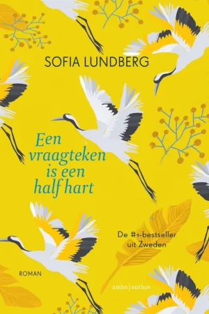 Actieprijs Een vraagteken is een half hart - Sofia Lundberg
