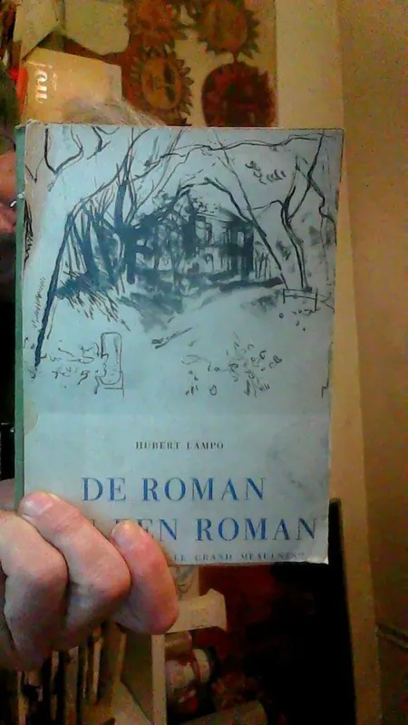 Beperkte Voorraad De roman van een roman : Alain-Fournier en Le Grand Meaulnes - Hubert Lampo