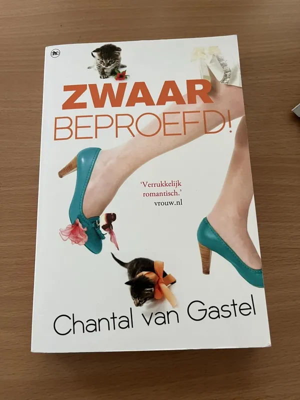 Zwaar beproefd - Chantal van Gastel Beste Prijs