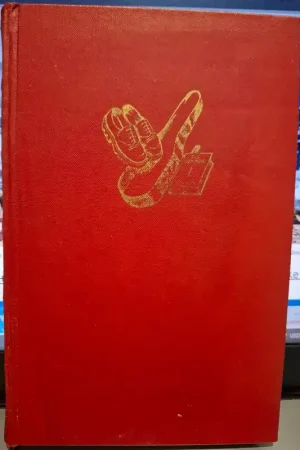 Stille getuigen - Maria de Lannoy Bestseller