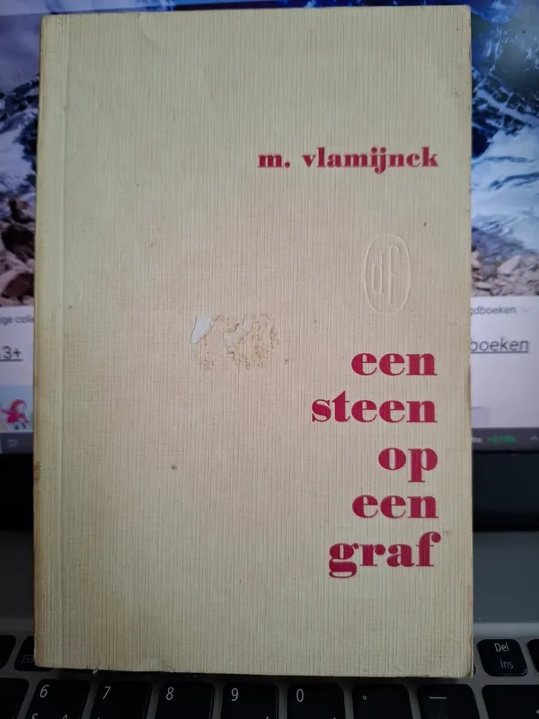 Een steen op een graf - M. Vlamijnck Snelle Levering